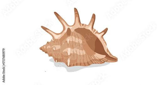 Realistic conch shell with detailed textures on white background