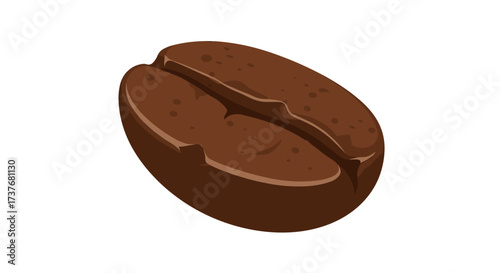 Realistic coffee bean on white background