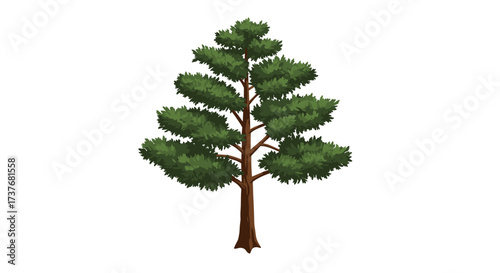 Realistic pine tree with dense green foliage and brown trunk on white background