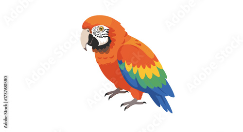 Colorful parrot on white background with detailed feathers and realistic design