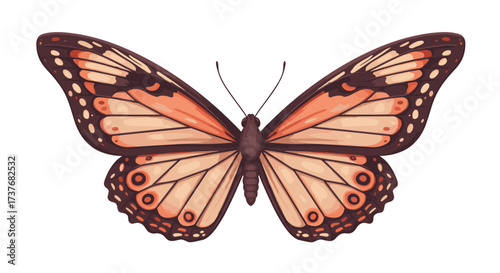 Realistic butterfly with patterned wings on white background