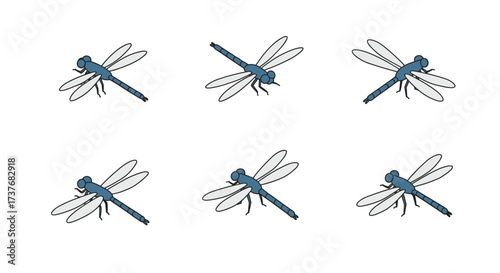 Dragonfly set in minimalist style: six unique positions for nature projects