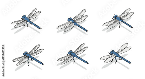 Blue dragonfly set with shadow effects on white background