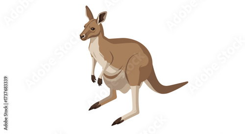 Isometric kangaroo design with detailed features against white background