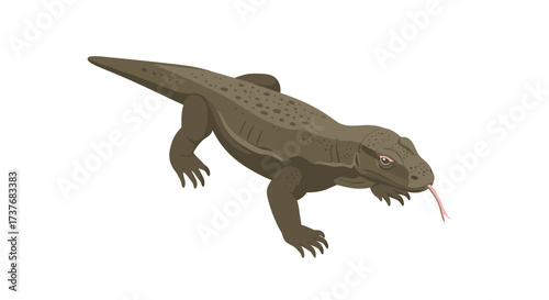 Detailed komodo dragon artwork on white background