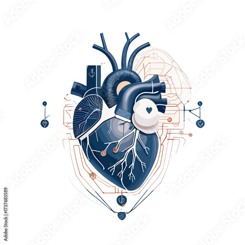 Stylized heart illustration in blue and copper with intricate vascular structure and modern design