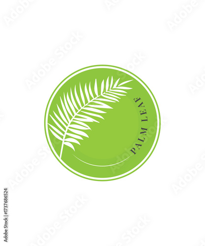 Emblem palm leaf logo on white background, Palm leaf logo with elegant style design, Minimal palm leaf logon