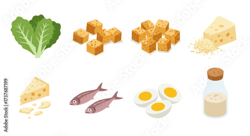 Isometric protein sources: tofu, cheese, fish, eggs, milk, and greens collection
