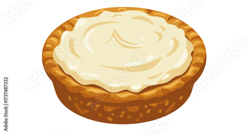 Close-up of a creamy cheesecake tart with golden crust on white background