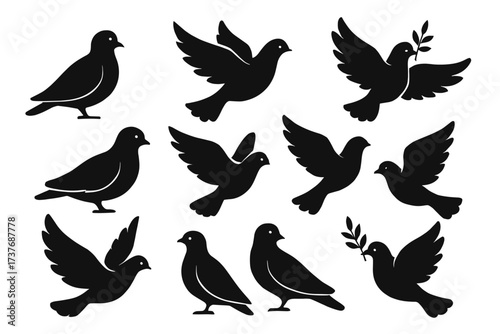 Silhouette collection of doves and pigeons in various poses with olive branch