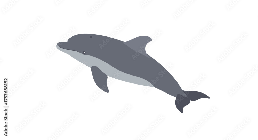 Fototapeta premium Flat style dolphin on white background: marine life design