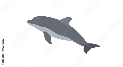 Flat style dolphin on white background: marine life design