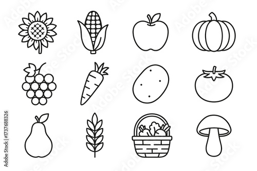 Outline icons of various fruits and vegetables including sunflower and carrot