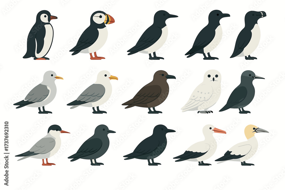 Naklejka premium Collection of various stylized seabirds on a white background