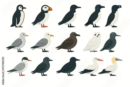 Collection of various stylized seabirds on a white background