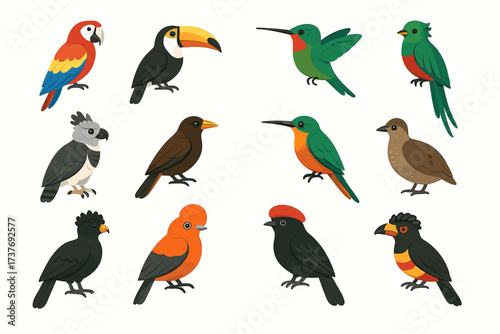 Colorful cartoon birds collection: parrot, toucan, hummingbird, quetzal, cockatoo, and more