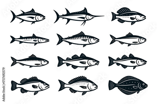 Variety of fish silhouettes: tuna, swordfish, mackerel, salmon, haddock, sole