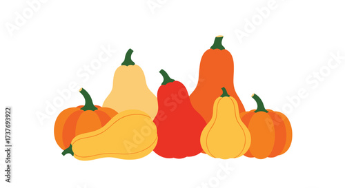 A vibrant collection of autumnal squashes and pumpkins displayed together celebrating the harvest season.