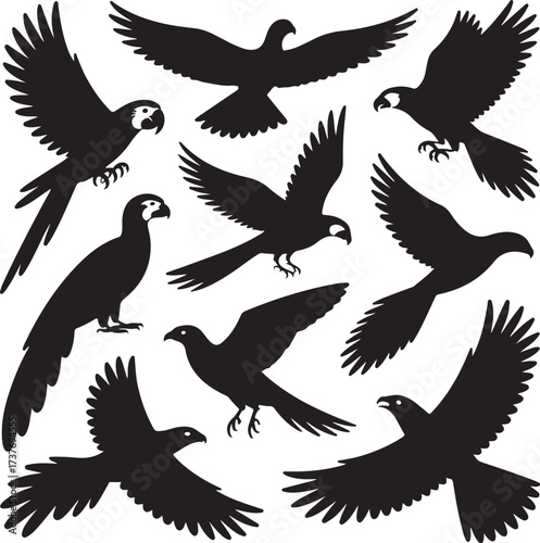 Collection of Black Silhouettes of Various Birds in Flight and Perched flying