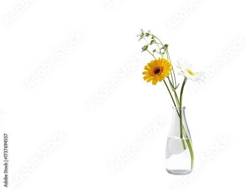 Simple still life Flowers in a clear glass vase against a black background