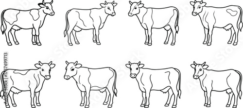 Collection of eight hand drawn line art illustrations of cows in various poses and angles