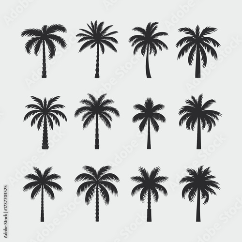 Diverse collection of palm tree silhouettes vector graphics scalable illustration for tropical designs silhouette