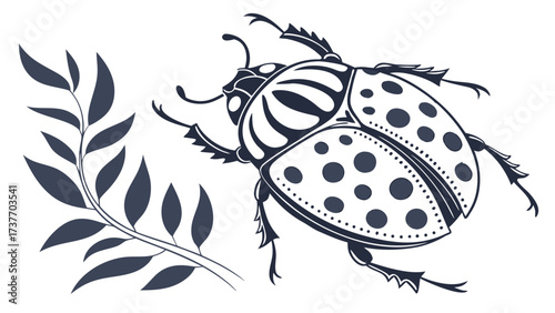 Dark grey beetle and dark grey leaves on black background insect branch