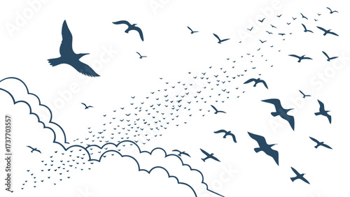 Flock of Seagulls Flying Out of Clouds on Black Background Keywords: seagulls, birds, flock, flying, flight