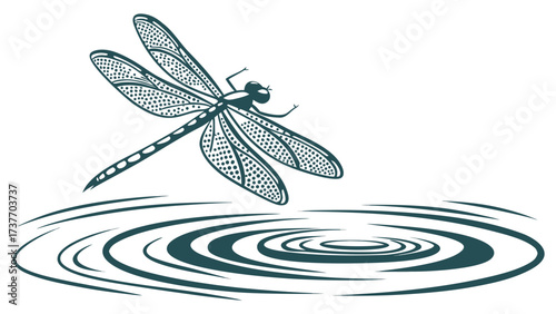 Dragonfly Hovering Over Rippling Water Surface with Concentric Circles Keywords: dragonfly, insect, bug