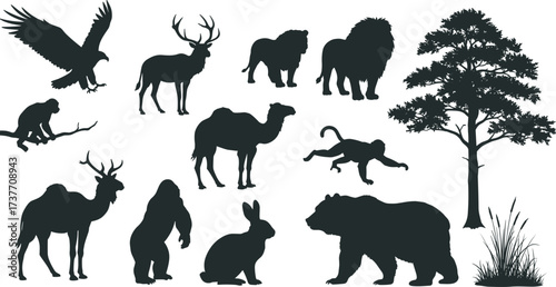Wildlife, silhouette, animals, forest, nature, eagle, deer, lion, monkey, camel, gorilla, rabbit, bear, tree, grass, jungle, mammal, bird, black, isolated, ecosystem, habitat