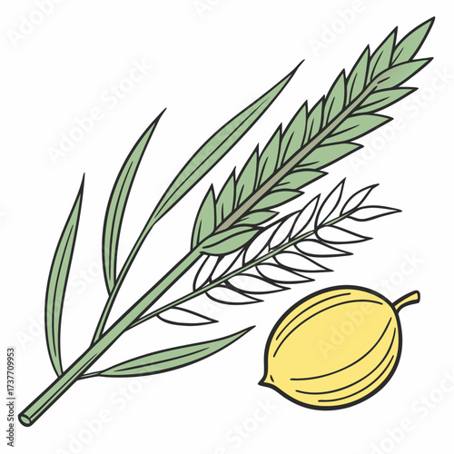 Detailed drawing of a plant with leaves and grain
