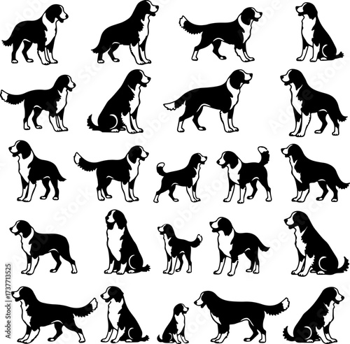 Border Collie Dog Silhouette Vector Set