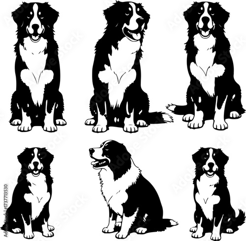 Border Collie Dog Silhouette Vector Set