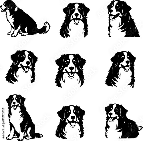 Border Collie Dog Silhouette Vector Set