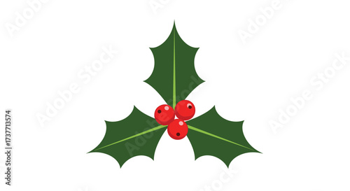 A classic symbol of the winter holiday season a sprig of green holly leaves with three vibrant red berries.