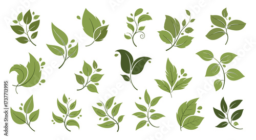A collection of stylized green leaves and branches in various artistic arrangements.