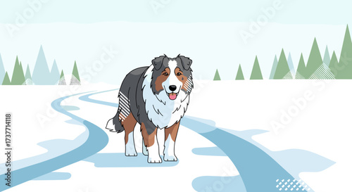 Shepherd dog walking on a snowy trail in a winter landscape