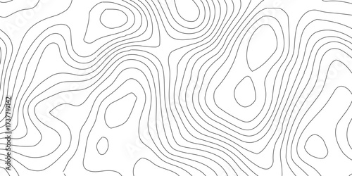 Topographic map background geographic line map with elevation assignments. Abstract digital topographic contour map concept space geometric strip grid line.Topography and geography map grid abstract,
