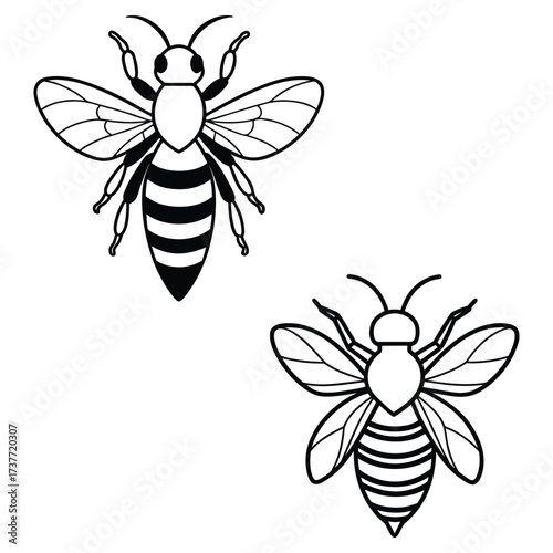 Honey Bees Vector Design
