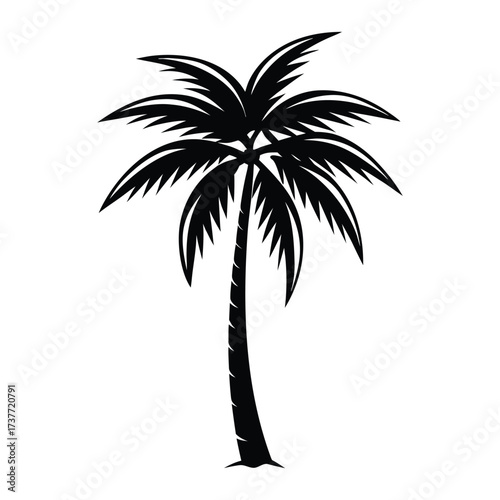 Palm Tree Vector Illustration
