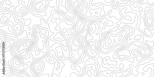 Abstract Vector Topographic Map Background with Wavy Contour Lines, Geometric Terrain Relief, and Mountain Grid Pattern for Geography, Navigation, and Travel Design Concept.