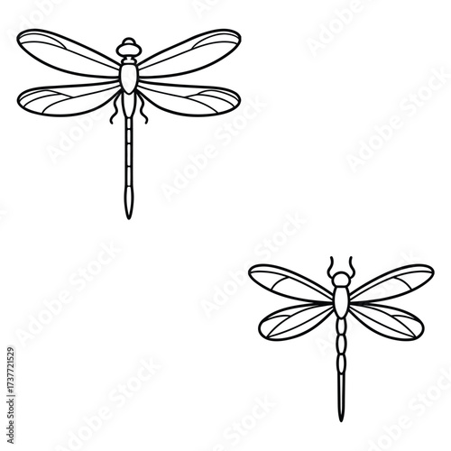 Dragonfly Vector Illustration