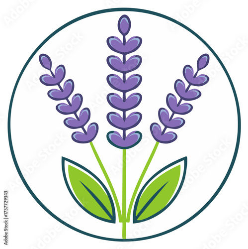 Delicate Lavender Flower Illustration in Circle Frame: Botanical Design
