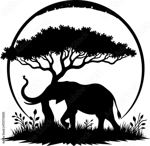 African Night Safari: Elephant under the Acacia