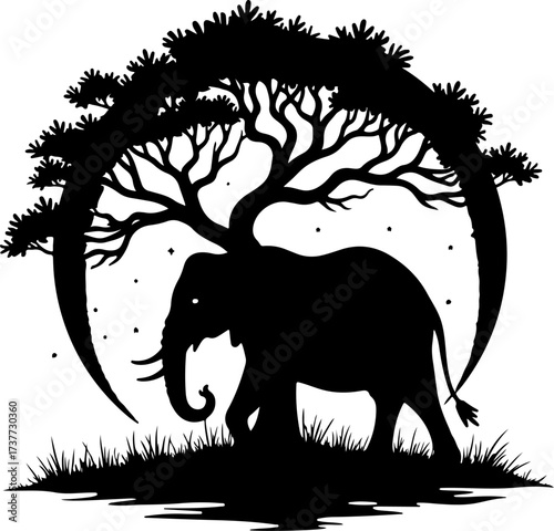African Night Safari: Elephant under the Acacia