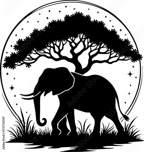 African Night Safari: Elephant under the Acacia
