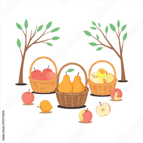  Baskets of apples, pears, peaches with leaves and branches.