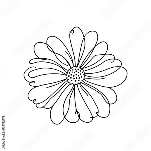 Elegant flower illustration with delicate line work on black background
