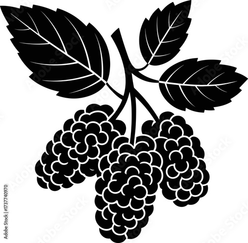 Elegant Black and White Illustration of Fresh Mulberries on a Twig with Leaves for Design and Branding Purposes