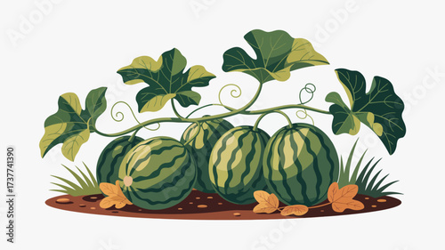 Celebrate summer with fresh watermelons, a vibrant and juicy treat perfect for picnics and healthy snacks, evoking feelings of happiness and sunshine, ideal for seasonal promotions